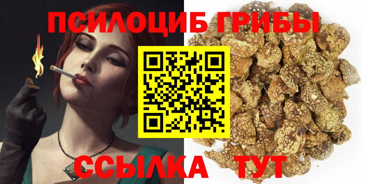 Кашира  Галлюциногенные грибы Psilocybine cubensis  Вход с VPN 